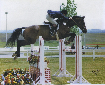 Jonathan Chesler and All Star, Open Jumper International ring Spruce Meadows, Calgary 2