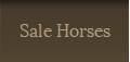 Sale Horses