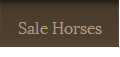 Sale Horses