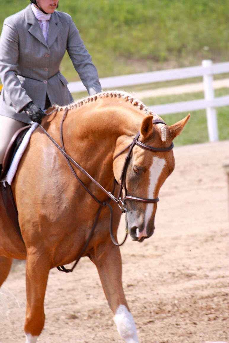 Seana Holek and Glen Denning Dior