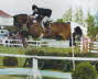 Jonathan Chesler and All Star, Open Jumper International ring Spruce Meadows, Calgary