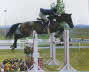 Jonathan Chesler and All Star, Open Jumper International ring Spruce Meadows, Calgary 